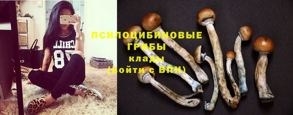 PSILOCYBIN Семикаракорск