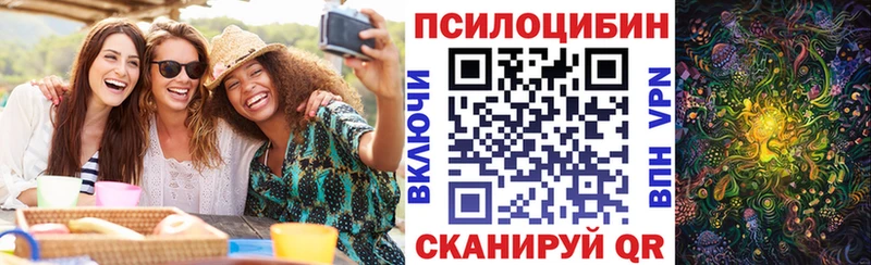 Купить  Тутаев  Галлюциногенные грибы мицелий 